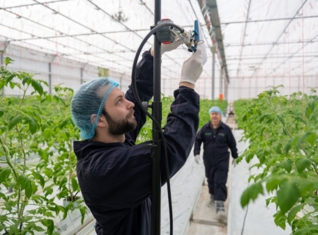 Do IoT Fieldlab in the media: Smart Dutch Greenhouses