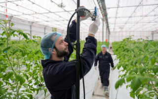 Do_IoT_TomatoWorld_feb2024_26